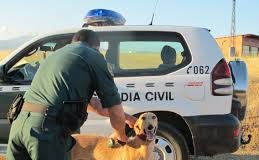 #ESPAÑA La Guardia Civil investiga si una mujer pagó 10 euros para que mataran a su perro