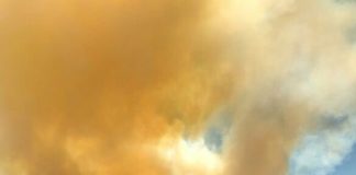 #SANTIAGO Declaran alerta roja por incendio desatado esta tarde en el Cajón del Maipo