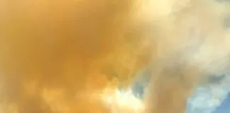 #SANTIAGO Declaran alerta roja por incendio desatado esta tarde en el Cajón del Maipo