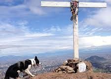 #SANTIAGO Denuncian envenenamiento de 14 perros en la comuna de Vitacura