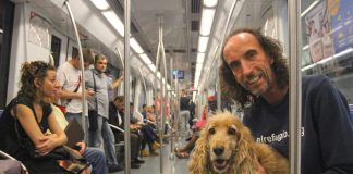 #ARGENTINA Animales podrán viajar gratis en el transporte subterráneo de Buenos Aires