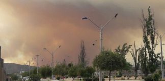 #MIRADANACIONAL Reportan 5 puntos de incendios forestales a nivel nacional