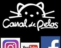 #SANTIAGO: (Video) ¿Sabes qué es canal de pelos? Te invitamos a conocerlo!
