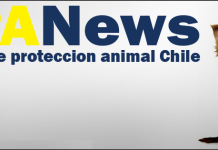 #EDITORIAL ¡Hoy celebramos nuestro aniversario número 5¡