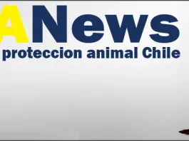 #EDITORIAL ¡Hoy celebramos nuestro aniversario número 5¡