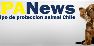 #EDITORIAL ¡Hoy celebramos nuestro aniversario número 5¡