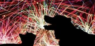 ¿Cómo cuidar a los animales de los fuegos artificiales?