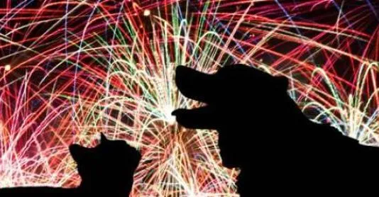¿Cómo resguardar a tus animales de los fuegos artificiales?