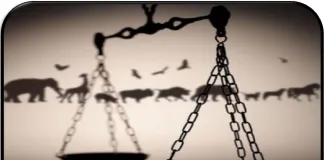#PUNTOLEGAL La Justicia Civil y los mecanismos de protección animal