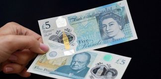 #MUNDO Banco de Inglaterra analiza soluciones para elaborar billetes sin grasa animal