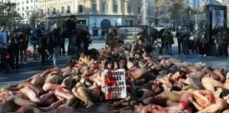 #ESPAÑA Activistas protestaron desnudos en Barcelona contra las prendas de piel