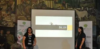 #MAULE Proyecto para preservar la apicultura se adjudicó primera versión de Maker Maule