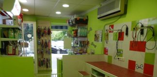 Clínica veterinaria deberá pagar 2 millones de pesos por indemnización a tutor, tras perder a su gato que se hospedaba en el lugar