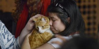 #SANTIAGO Perros y gatos sin hogar buscan nueva familia en la segunda jornada de adopción de Mall Arauco Quilicura