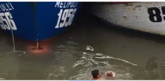 #BIOBIO Pescador se lanza al mar para rescatar a un gatito en Lebu