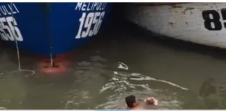 #BIOBIO Pescador se lanza al mar para rescatar a un gatito en Lebu