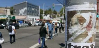 #VALPARAISO Interpusieron querella contra sospechoso de acuchillar a perros en la capital regional