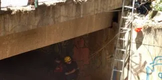 #SANTIAGO Bomberos rescata a perro desde el Zanjón de la Aguada