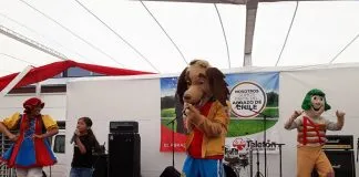 #SANTIAGO Promoviendo el respeto hacia los niños discapacitados y los animales Perrito Chipitin se presentó en la #Teletón