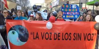 #OPINION Por la defensa de los animales
