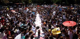 #SANTIAGO Más de 6 mil personas alzaron la voz en contra el asesinato de Cholito exigiendo una nueva ley de protección animal