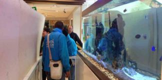 #COLOMBIA Polémica por sacrificio de 40 peces exóticos en Bogotá