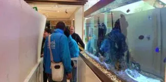 #COLOMBIA Polémica por sacrificio de 40 peces exóticos en Bogotá