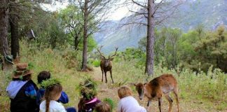 #ESPAÑA Ojén transforma un antiguo parque de caza en la sierra en Reserva Ecológica