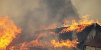 #VALPARAISO Habilitan albergues para damnificados con animales del incendio forestal que afecta a la capital regional