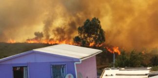 #VALPARAISO Casa de rescatista fue alcanzada por las llamas del Incendio Forestal
