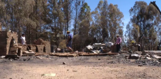 #MIRADANACIONAL Las abejas, las víctimas silenciosas de la ola de #IncendiosForestales