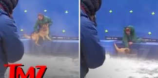 #CINE Denuncian trato indignante a perro en filmación de película #LaRazóndeestarcontigo