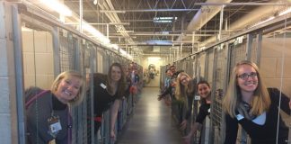 #ESTADOSUNIDOS Refugio celebra que todos sus animales fueron adoptados