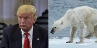 #MUNDO Sitio web de la Casa Blanca elimina apartado dedicado al cambio climático