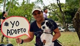 #SANTIAGO ¿Quieres adoptar a un perrito?, ¡Asiste a la jornada de adopción de PROANI San Miguel¡