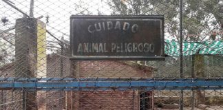 #Mundo Siete animales del zoo de Colón serán trasladados a un santuario en Estados Unidos