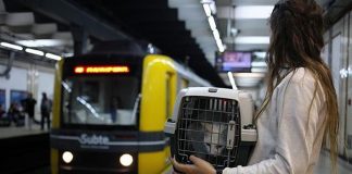 #ARGENTINA El metro de Buenos Aires se vuelve «pet friendly»: perros y gatos podrán viajar en sus vagones