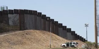#Mundo Denuncian que el Muro que pretende construir Trump perjudicará a las especies en su transitar