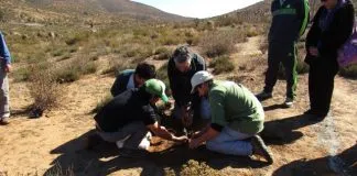 #COQUIMBO Comunidad agrícola de Ovalle habilita área de conservación de la flora y fauna nativa