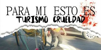 #VALPARAISO Harán manifestación exigiendo el fin de los coches victoria en Viña del Mar