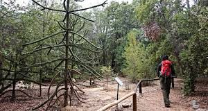 #SANTIAGO Prohíben uso del fuego al interior de RN Río Clarillo y MN El Morado