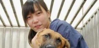 #TAIWAN Prohíben el sacrificio de perros abandonados en el país tras el suicidio de una veterinaria