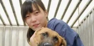#TAIWAN Prohíben el sacrificio de perros abandonados en el país tras el suicidio de una veterinaria