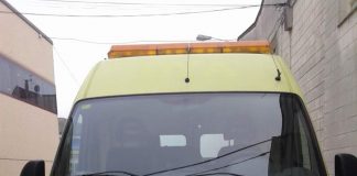 #España Cataluña tendrá en mayo hasta 4 ambulancias solidarias para animales en apuros