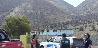 #ANTOFAGASTA Detectives investigan la captura ilegal de aves protegidas en las cercanías de Paposo