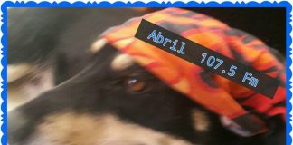 #TENDENCIAS Lanzarán nuevo programa pro animal en Radio Puente Alto