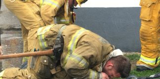 #Mundo Un bombero salva a un perro tras hacerle el boca a boca durante 20 minutos
