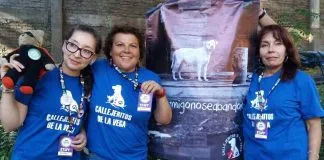 #SANTIAGO Denuncian que personas se hacen pasar por voluntarios de Callejeritos de la Vega, para pedir donaciones