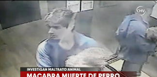 #SANTIAGO Sujeto maltrata brutalmente a perrito en edificio del centro de la ciudad