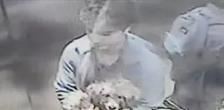 #SANTIAGO Fiscalía abre investigación por brutal caso de maltrato animal a perro en edificio
